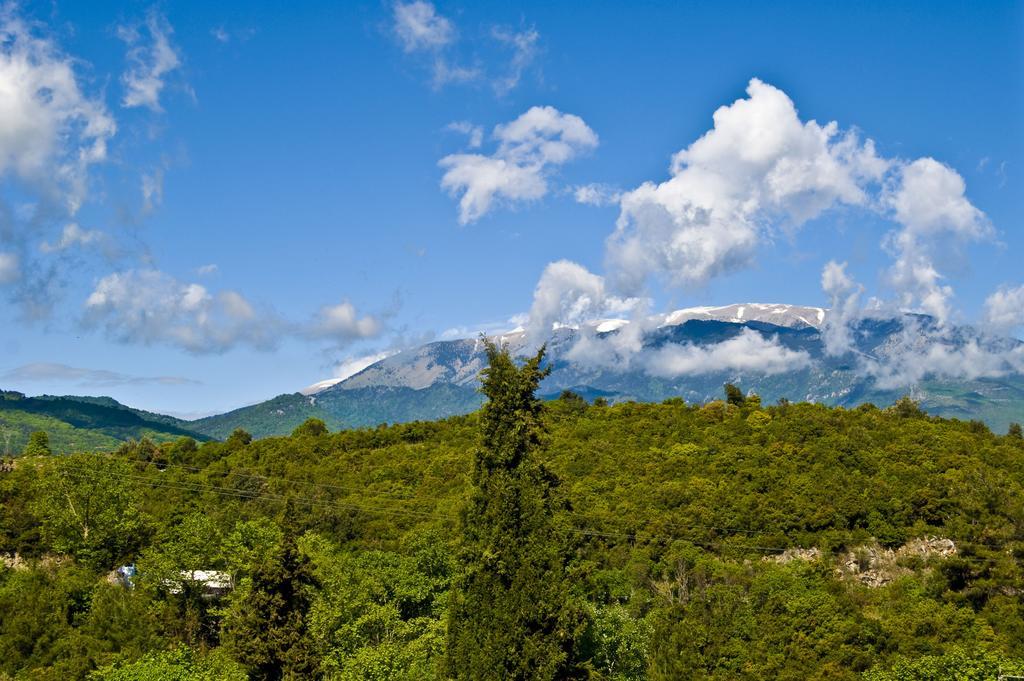 Dioni Houses パラリア・パンテレイモノス エクステリア 写真